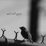 دانلود آهنگ بی نیازی (من از بی نیازی به ثروت رسیدم) “قدیمی خاطره انگیز” از حمیرا